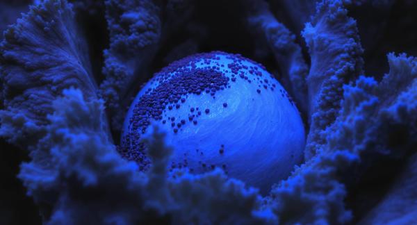 Glifosatli Gidalarda Pestisit Kalintisi