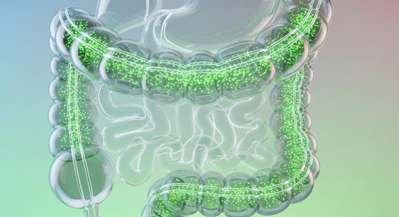 bagirsak detoksu sembolik spiral